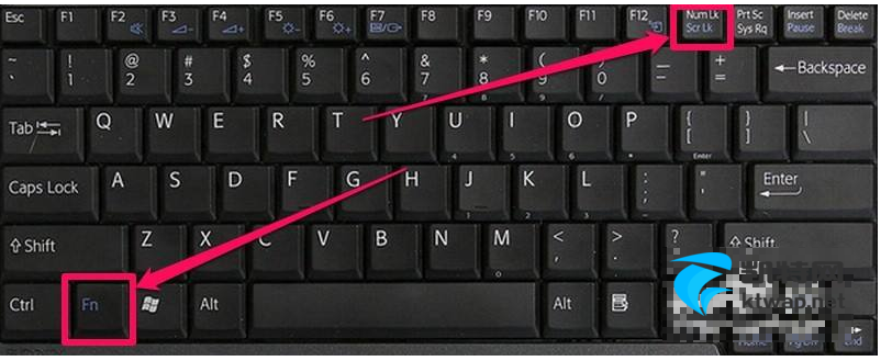 【S.F.X】笔记本键盘打不出字?小鱼教您解决键盘失灵的问题