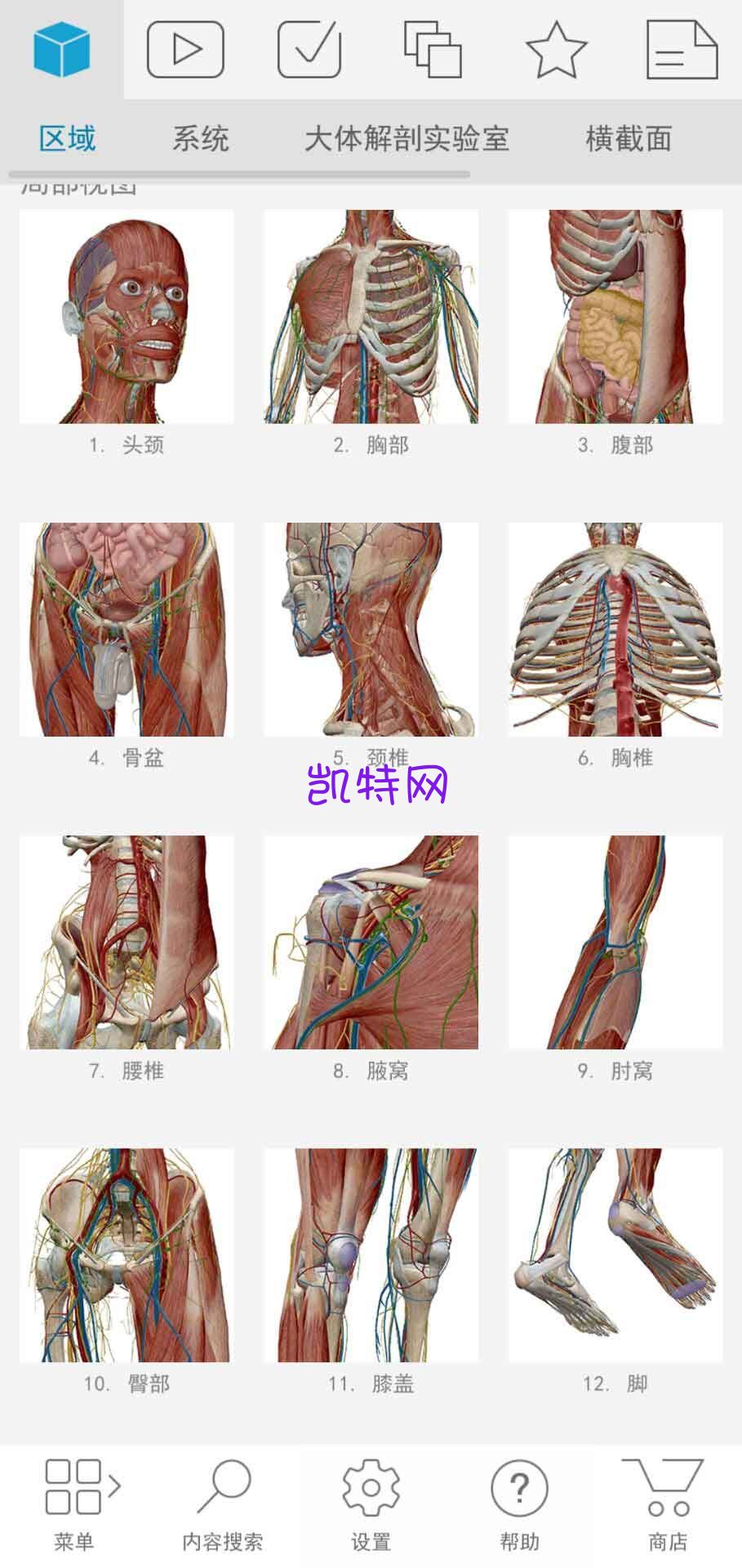 资源分享 人体解剖学